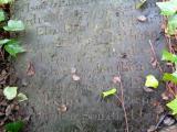 image of grave number 810682